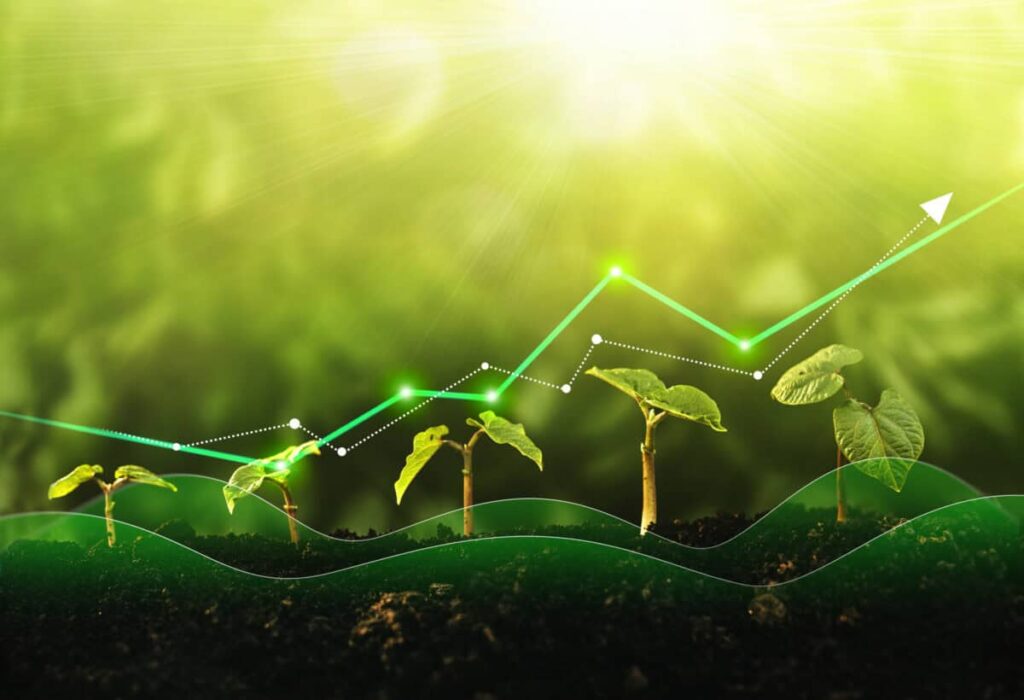 concept of growth